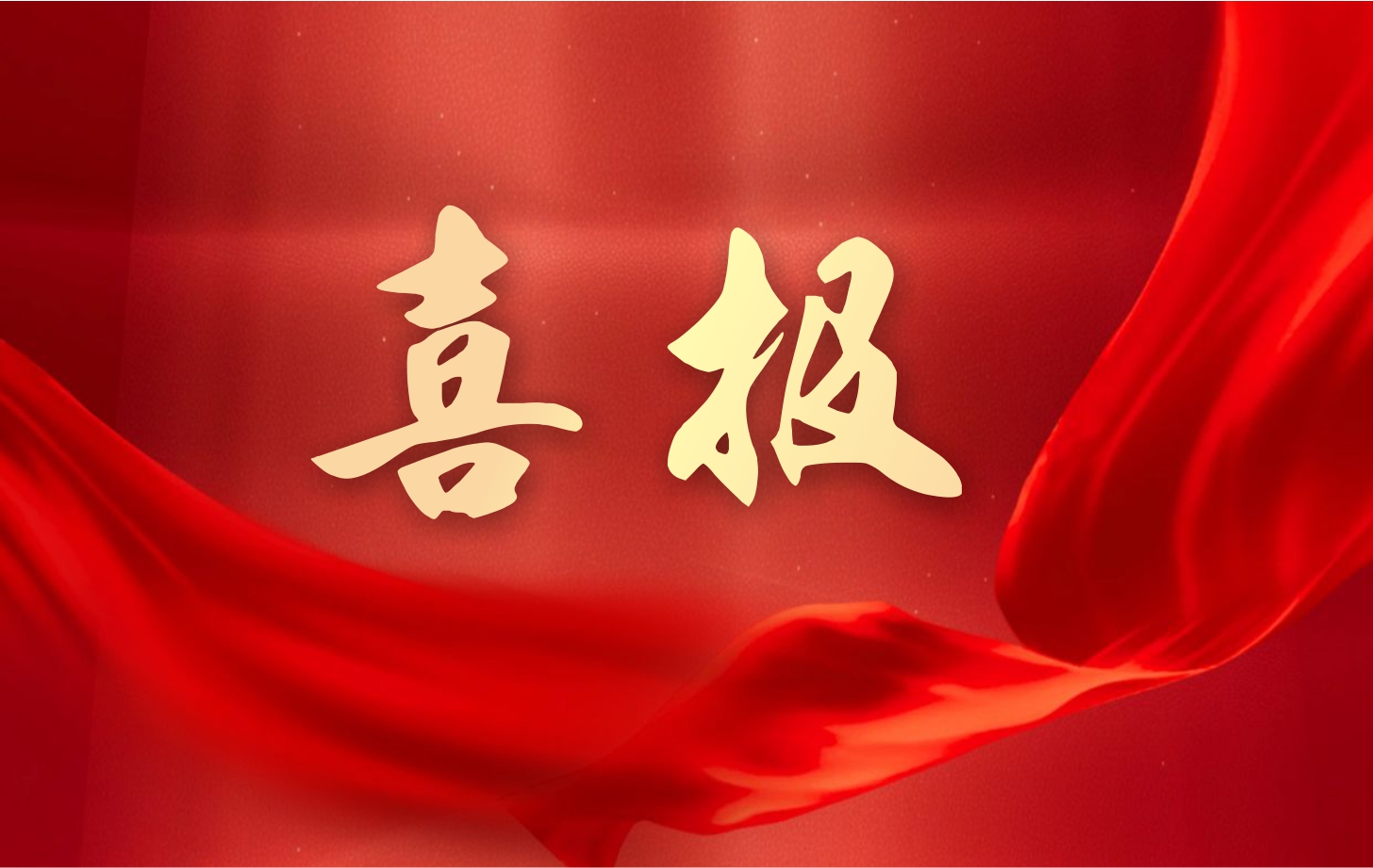 營收凈利雙增長！依頓電子2025年一季度經(jīng)營業(yè)績續(xù)寫高質(zhì)量發(fā)展華章